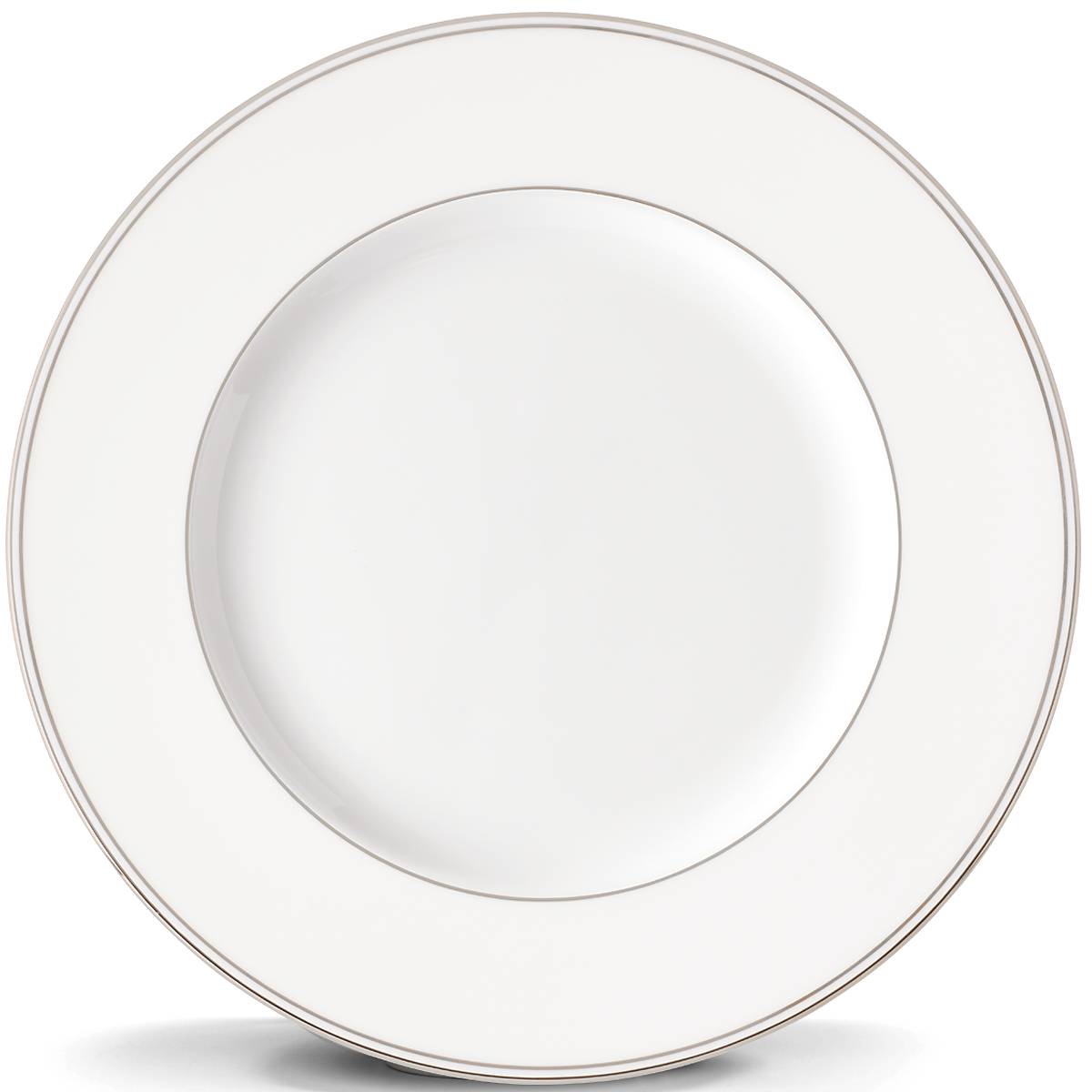 Platinum Rim Porcelain Dinner Plate